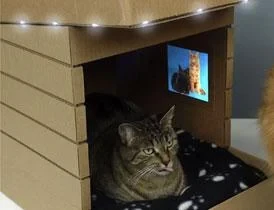 A cat sitting inside a cardboard box house