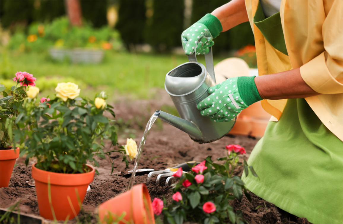 Spring Gardening Tips